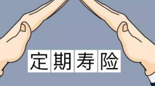 定期壽險適合什么人？