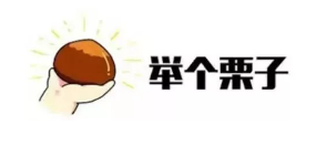什么是年金轉換？