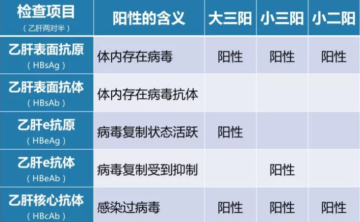 乙肝病毒攜帶者應該如何正確投保？