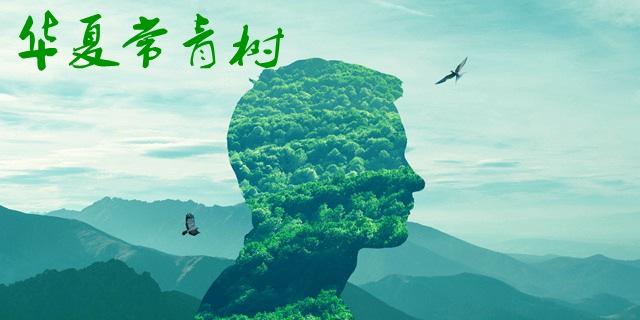 華夏常青樹(shù)多倍版和華夏福哪個(gè)好 包含自然身故嗎？